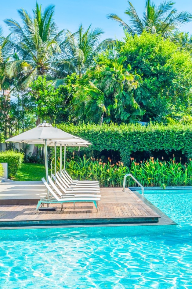 Landscaping around swimming pool